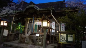 DSC00249