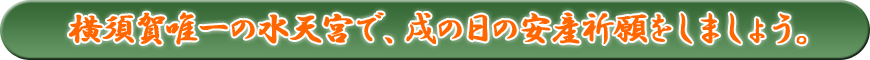 横須賀唯一の水天宮で、戌の日の安産祈願をしましょう。